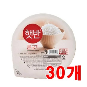 햇반 큰공기, 300g, 30개