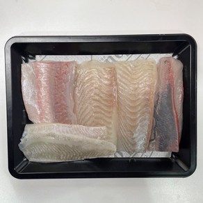 국내산 모듬회 필렛 원물 1.2kg 제철 숙성회 3-4가지 창원맛집 진해 동부회센타 [원산지:국산], 1개, [평일주문마감 오후3시]모듬회 필렛 원물 1.2kg