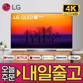 LG전자 올레드 UHD 4K OLED 스마트 TV, 방문설치, 스탠드형, OLED65E8, 65인치/163cm