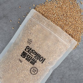 2024년 햇통밀쌀, 1개, 1kg