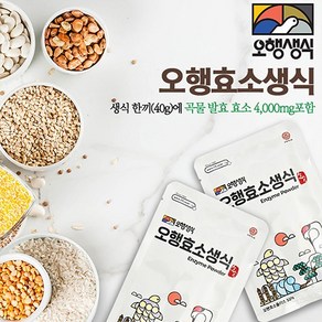 엑스비 오행생식 가족건강 건강선물 식사대용 한끼식사 오행효소생식 단품(15포)