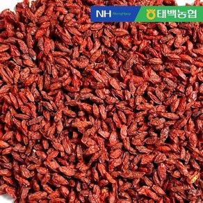 [농협] 우리농산물 한산애 진도 구기자 300g, 1개