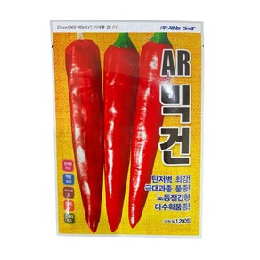 [2024년] AR빅건 고추 씨앗 역병내병계 고추 종자 1200립, 1개