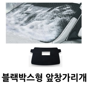 블랙박스 개방형 앞유리 앞창가리개 성에방지커버 / BMW, BMW 3시리즈 F30/12~18년/BS109