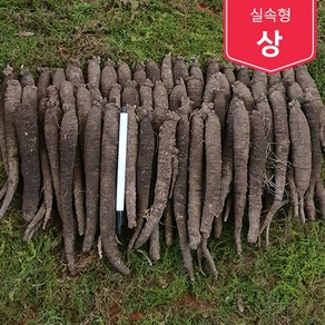 제주흙더덕 실속형 (상 중상 중) 2kg~5kg, (상) 3kg, 1개