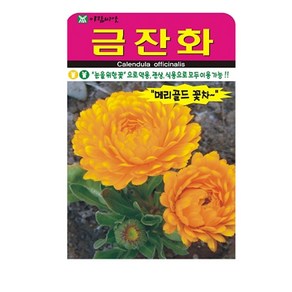 금잔화 씨앗, 1개