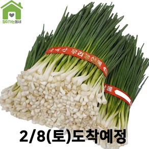 국내산 깐쪽파 쪽파 파 1단 (약1Kg), 1kg, 1개