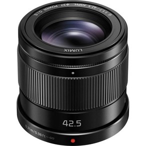 Panasonic 파나소닉 LUMIX G LENCE 42.5MM F1.7 ASP 미러리스 마이크로 43 파워 옵티컬 I.S HHS043K USA BLACK