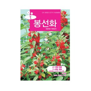 (CN) 봉선화 씨앗 (500립)