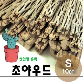 초야 우드 10cm S 선인장 유목 활착 새우 놀이터 은신처