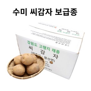 농사이야기 강원도 수미 두백 씨감자 종자 감자씨 보급종, 1개, 4kg(수미)