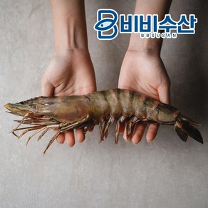 비비수산 킹타이거새우 (21-40cm) 킹블랙타이거, 28cm(180-229g), 1개