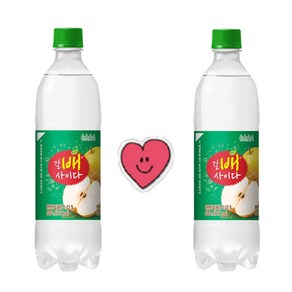 해태음료 갈배사이다 500ml x 24PET, 24개