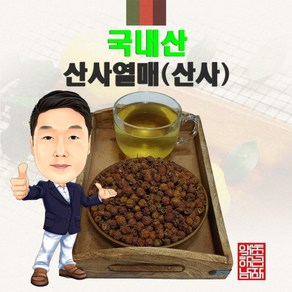 국내산 산사열매(산사) 100g (경북 영천) 국산, 1개