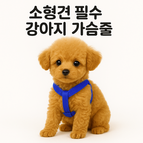 다잇대 강아지 하네스 압박 없는 가슴줄 앞섬방지, 1개, 블루