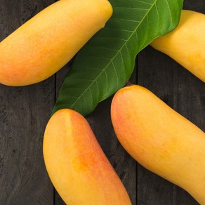 고당도 태국 무지개망고 마하차녹, 1개, 5kg 내외(특대과/10-12과)