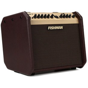 Fishman 라우드박스 미니 BT 60와트 1x6.5인치 어쿠스틱 콤보