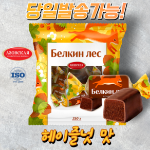 아조프 헤이즐넛 맛 스위트 글레이즈드 퐁당 러시아 초콜릿, 1개, 250g