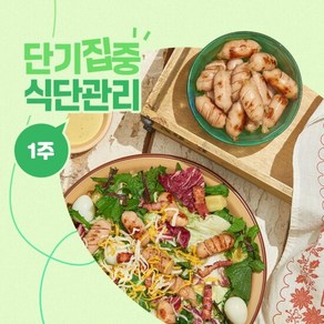 [포켓샐러드] 단기집중 식단관리 1주 패키지 (샐러드 구성), 1개, 230g