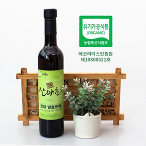 잔대 효소 발효액 유기농 이의영 산야초 효소 500ml, 1개