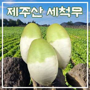 [제주 세척무] 제주 청정 월동 세척 무, 1개, 10kg