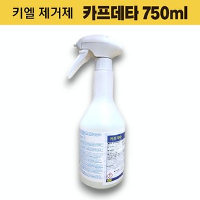 독일 키엘 카프데타 750ml 카페트 러그 페브릭 얼룩 오염 제거 청소 세제 스프레이