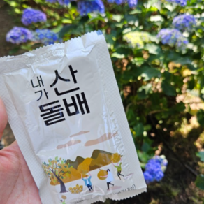 배즙 건강한 달콤함 문수돌배즙 맛나요, 1박스, 100ml