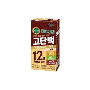 고단백두유 초코 190mlx16팩x3박스 (48팩), 없음, 48개, 190ml