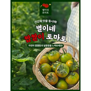 (별이네)대저 토마토2.5kg 대저 짭짤이 짭짤이 토마토, 1박스, 짭짤이 S (2.5Kg)