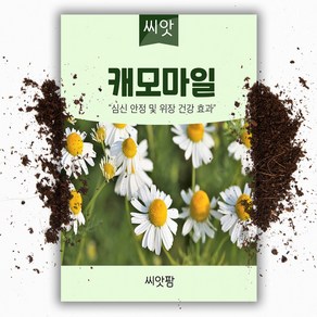 씨앗팜 허브 캐모마일 씨앗 (5000립)