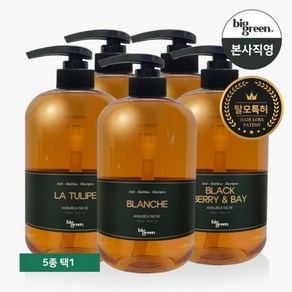 빅그린 아누카 니치 탈모샴푸 1000ml_5가지향 택1, 향선택:상탈, 1개, 1L