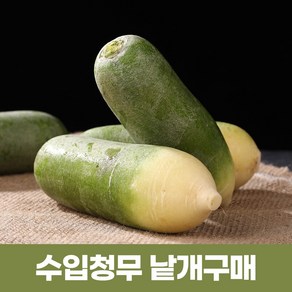 수입청무 중국무 청무 낱개(3개)-2024년햇무