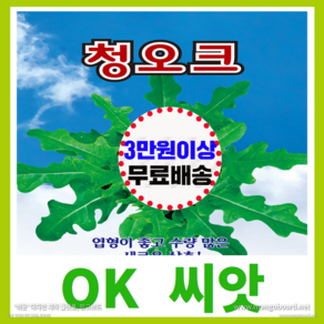 [OK씨앗] [청오크] 오크씨앗 종자(오케이씨앗), 1개