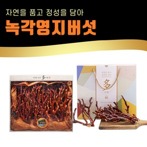 [농부상상]녹각영지버섯(180g) 선물 세트, 180g, 1세트, 선물세트