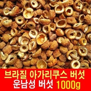 브라질 아가리쿠스 버섯 1000g 중국운남성 야생 EMS특송, 2개