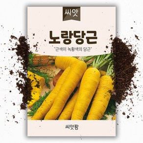 노랑당근씨앗 (500립), 1개