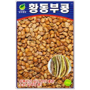 황동부콩 30g, 1개