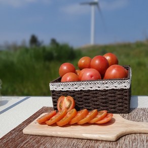 진상 완숙토마토 4.5kg(1-3번과) - 신선도 비교불가, 진상토마토 (4~5번)4.5kg(4-5번과), 1개