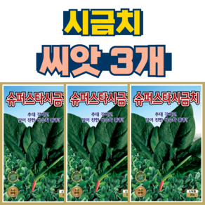 시금치씨앗 3개 사계절 시금치 종자 키우기 텃밭 채소 씨앗, 1세트