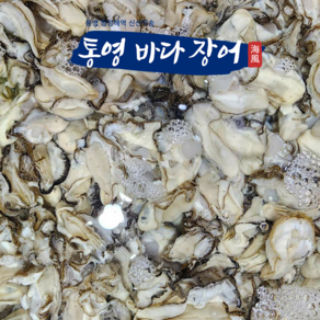 통영생굴 산지직송 김장용굴 깐굴 봉지굴 굴무침용, 1박스, 1kg