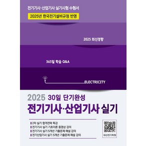 2025 전기기사·산업기사 실기 30일 단기완성, 대산전기학원 검정연구회(저), 듀오북스