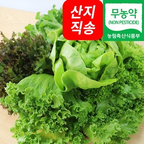 (자연마을) 친환경 무농약 유럽종 쌈채소 샐러드 채소 500g 1kg 모듬쌈