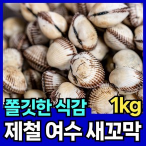 핏시드 제철 새꼬막 여수 벌교 꼬막, 1개, 중(1kg 80~90미)