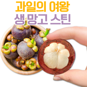 제철달력 태국 생 망고스틴 과즙 가득 열대과일의 여왕, 1세트, 1망 (500g)