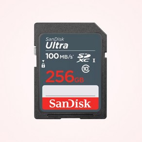 샌디스크 울트라 라이트 SD카드 카메라 메모리, 256GB, 1개