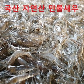 민물새우 국내산 100% 김장용 민물새우 1kg 매일소량 조업하여 싱상한 상태로 배송 민물새우탕 빠른배송