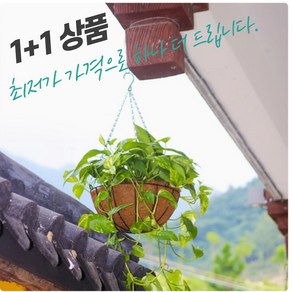 magicpot 인테리어 코코넛 행잉 화분 걸이 2p, S, 2개