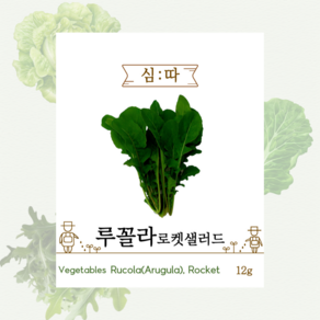 루꼴라로켓샐러드 씨앗 12g, 1개