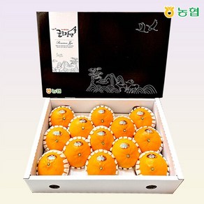 [선물세트]농협 귤로장생 천혜향 3kg 특대과(7-15과내외)+외박스, 1개