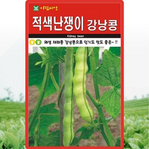 아람종묘 적색난쟁이 강낭콩 씨앗 30g 왜성 재래종 강낭콩씨 종자, 1개